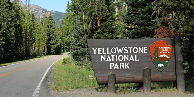 Yellowstone National Park Accident – 7 People Dies Following Tour Bus Crash Today